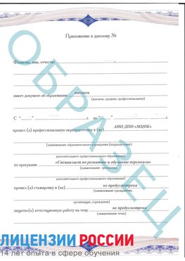 Образец приложение к диплому (страница 1) Менделеево Профессиональная переподготовка сотрудников 